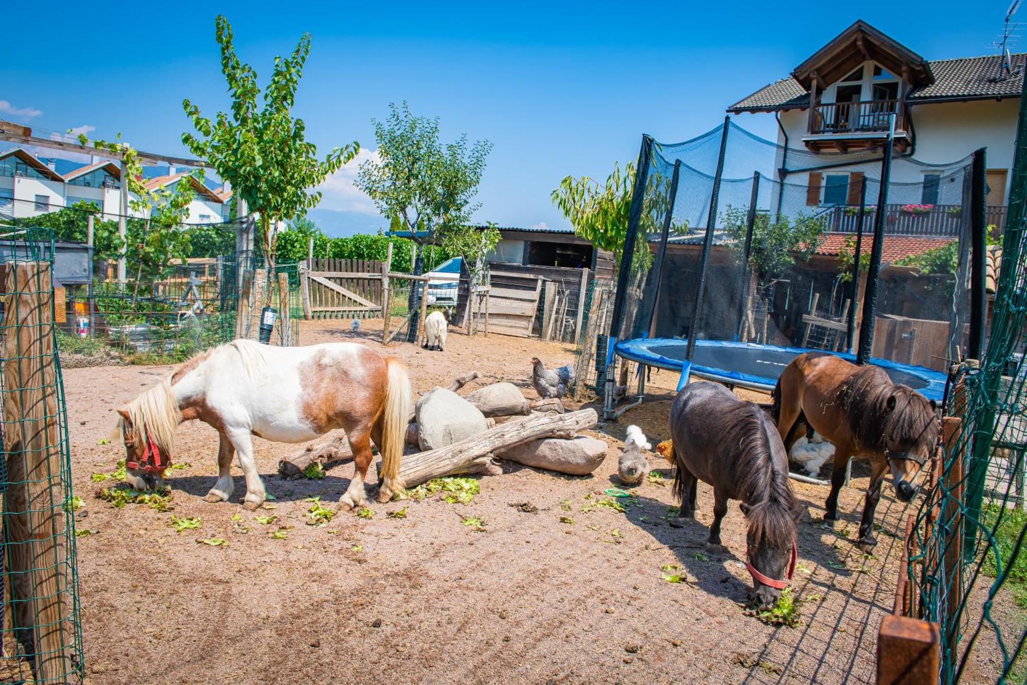 Ferienwohnung Lochererhof Eppan an der Weinstraße Exterior foto